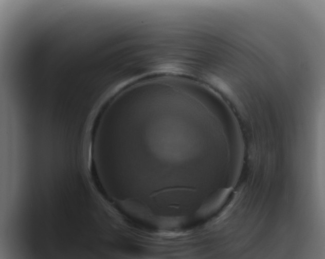 X0000089691323200706281409