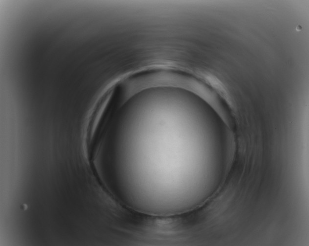 X0000089691326200706281409