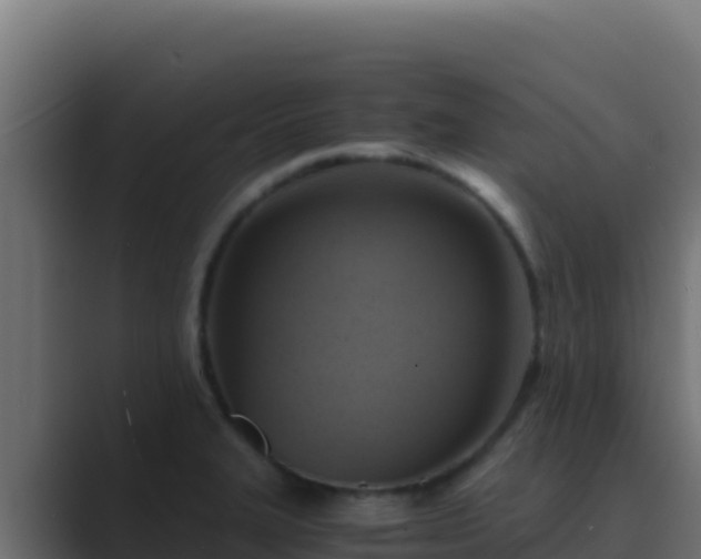 X0000089691327200706281409