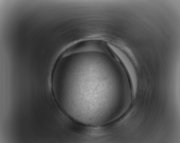 X0000089691328200706281409