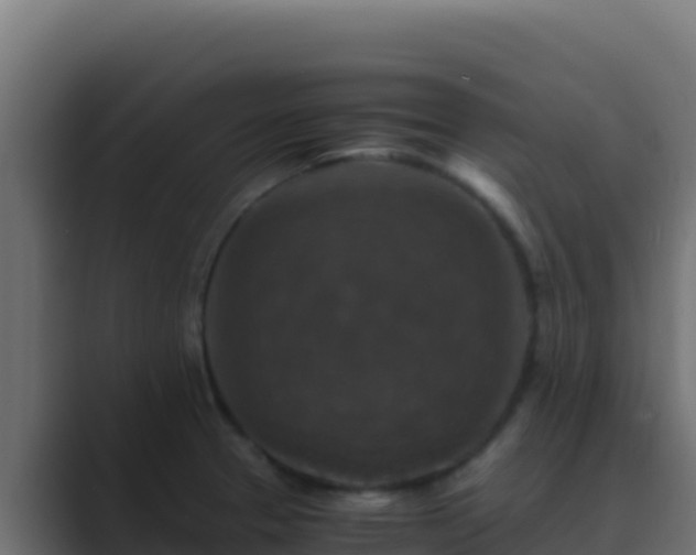 X0000089691329200706281409