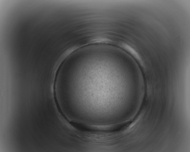 X0000089691330200706281409