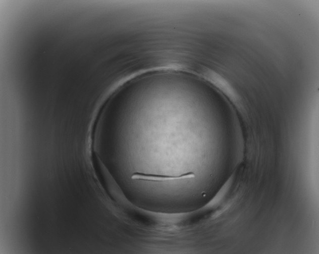 X0000089691332200706281409