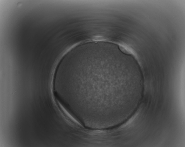 X0000089691333200706281409