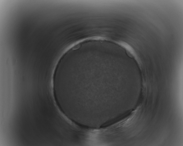 X0000089691335200706281409