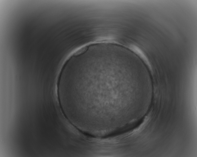 X0000089691336200706281409