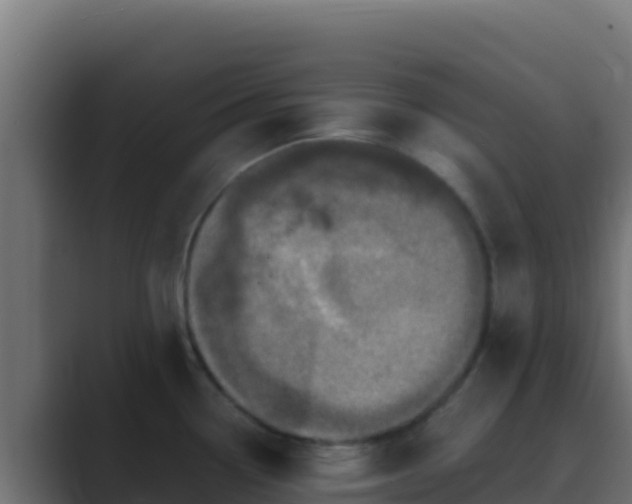 X0000089691338200706281409