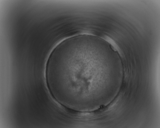 X0000089691339200706281409