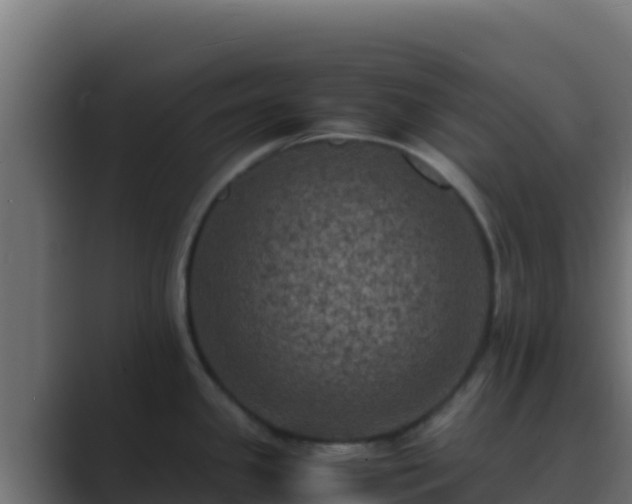 X0000089691341200706281409