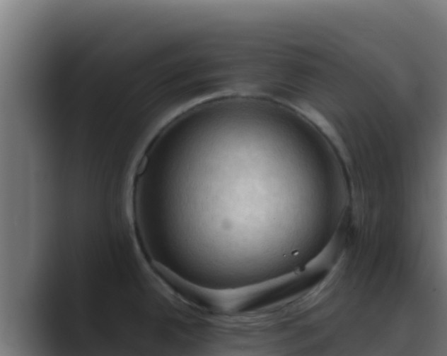 X0000089691342200706281409