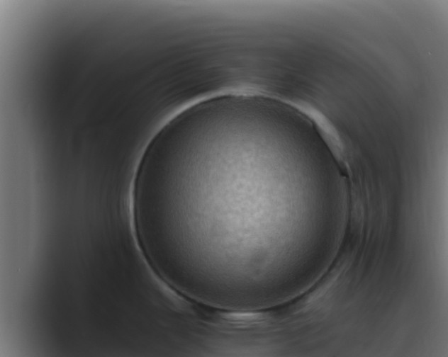 X0000089691343200706281409