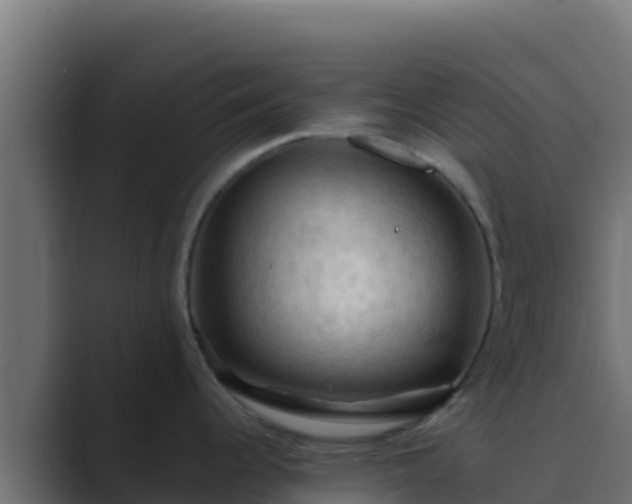 X0000089691344200706281409