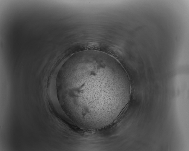 X0000089691345200706281408