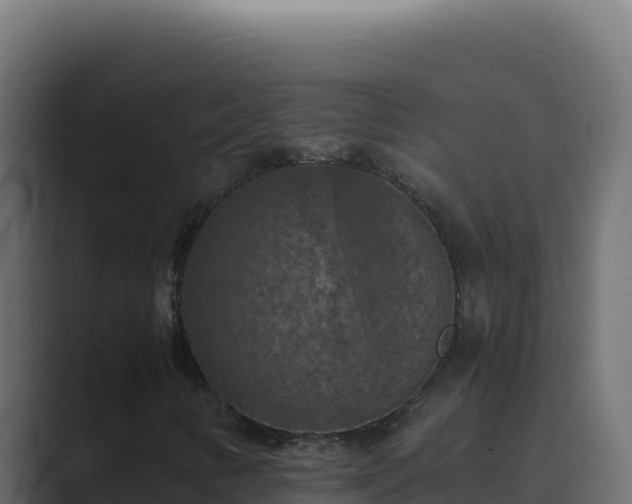 X0000089691346200706281408