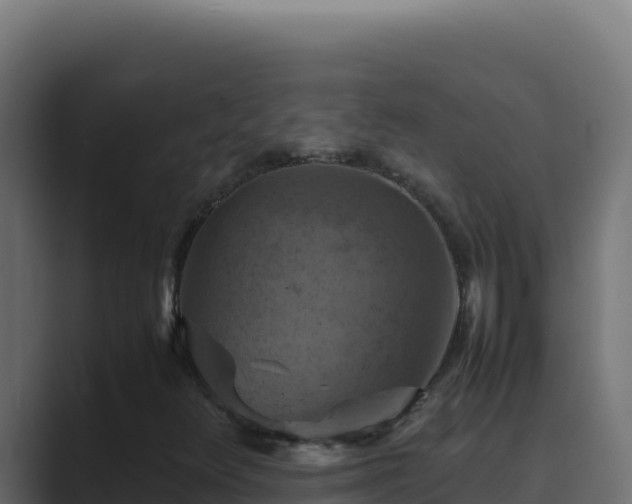 X0000089691348200706281408