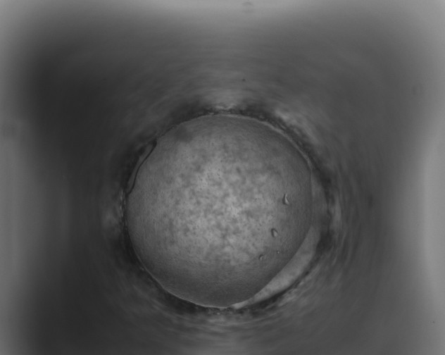 X0000089691349200706281408