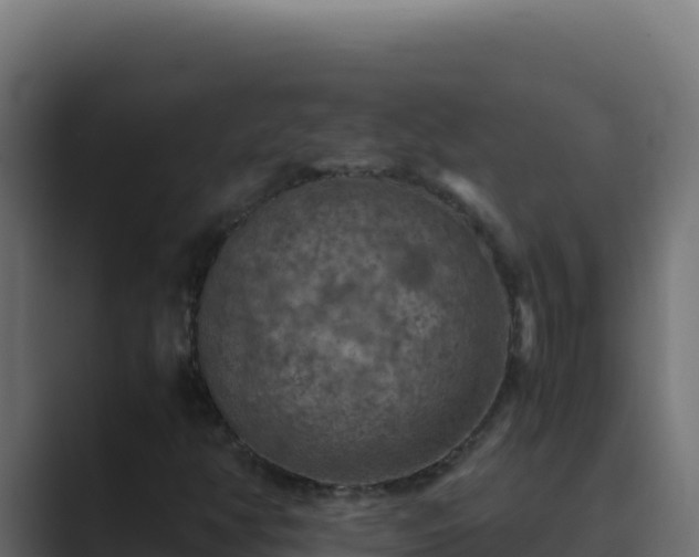 X0000089691350200706281408