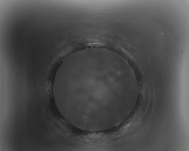 X0000089691351200706281408