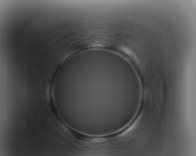 X0000089691353200706281408