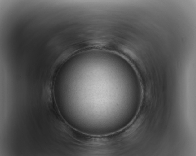 X0000089691354200706281408