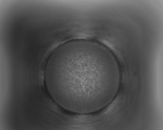 X0000089691355200706281408