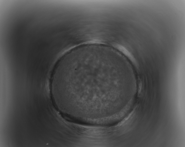 X0000089691356200706281408