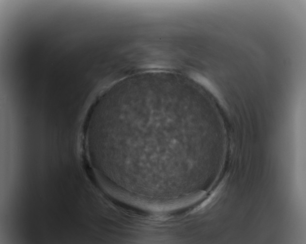 X0000089691357200706281408