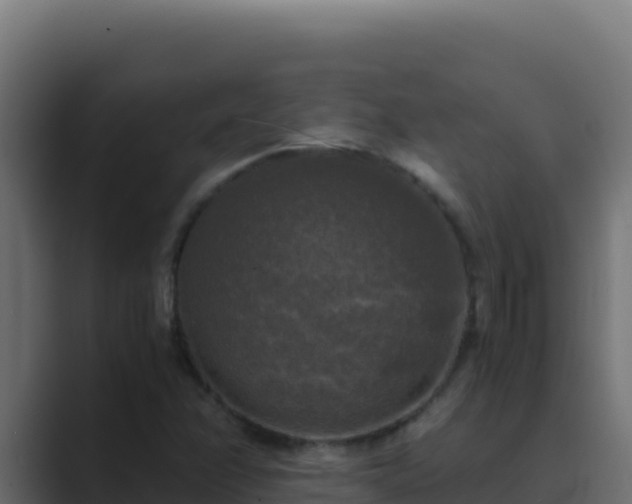 X0000089691358200706281408