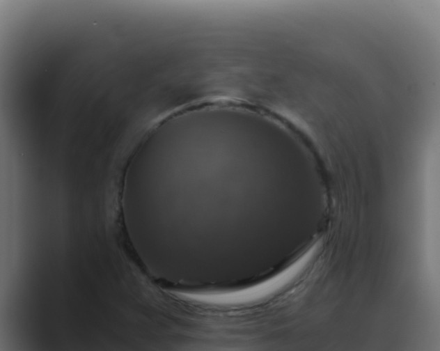 X0000089691359200706281408