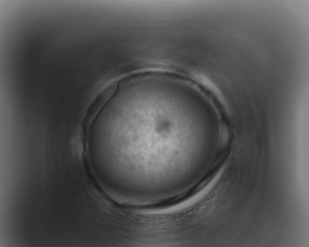 X0000089691360200706281408