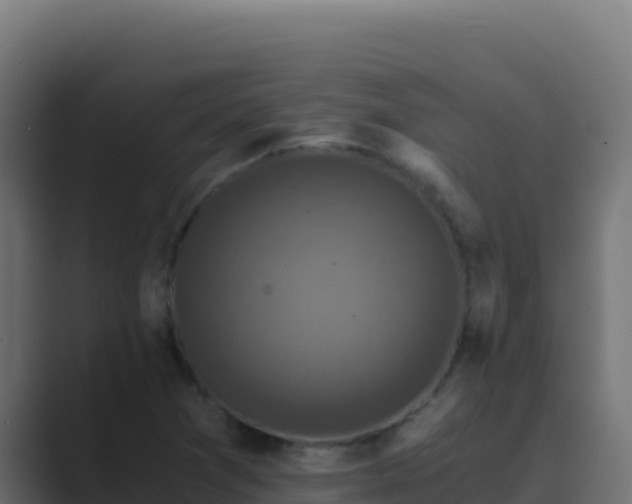 X0000089691361200706281408