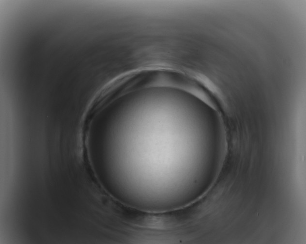 X0000089691364200706281408