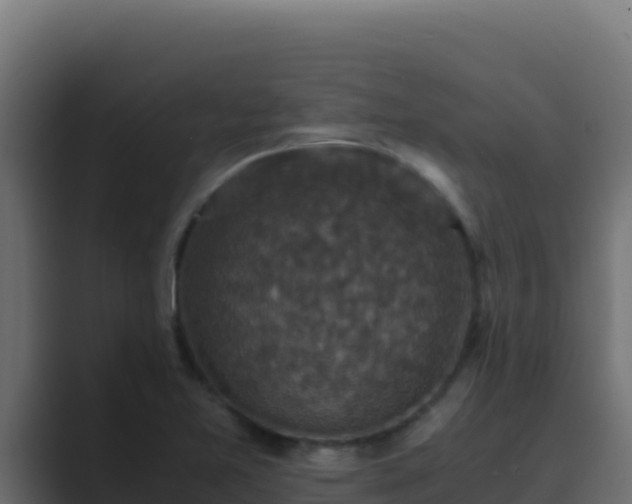 X0000089691365200706281408