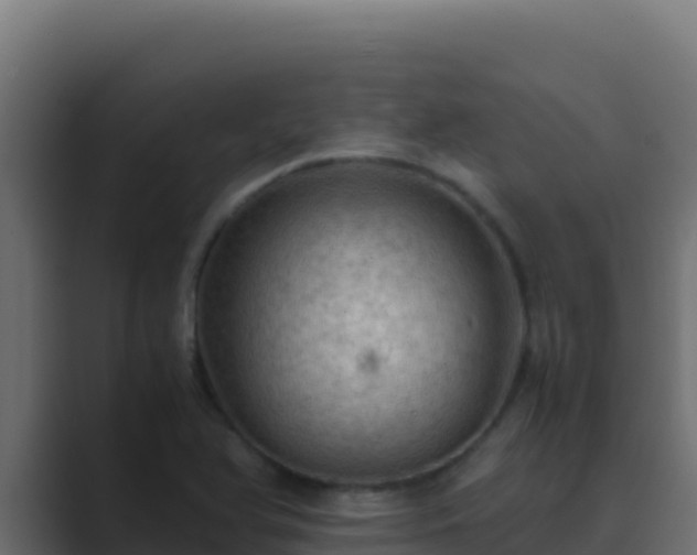 X0000089691366200706281408