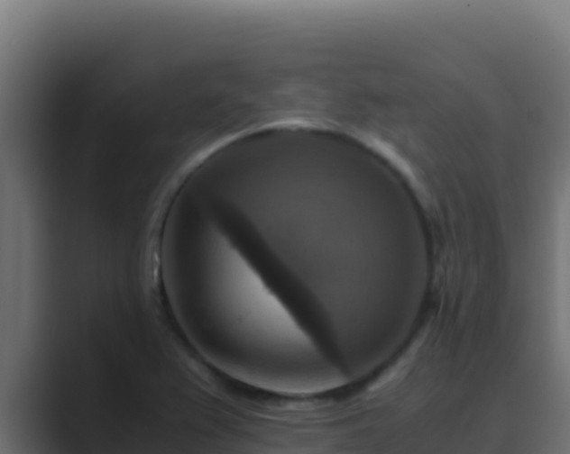 X0000089691367200706281408