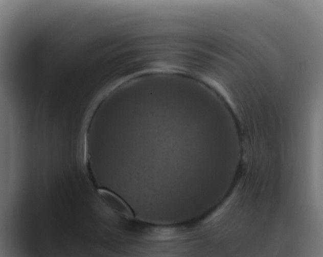 X0000089691371200706281408