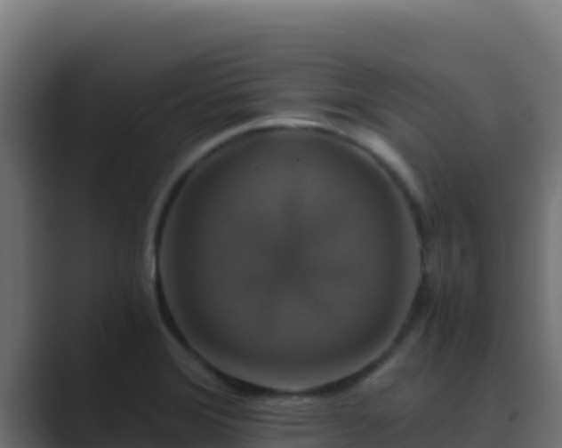 X0000089691372200706281408