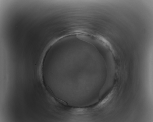 X0000089691373200706281408