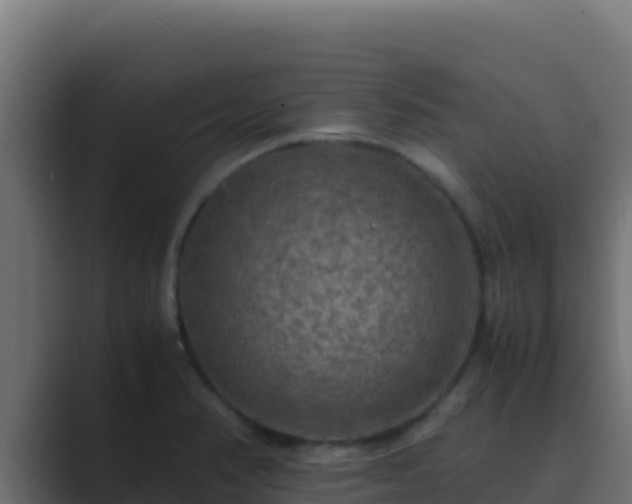 X0000089691374200706281408