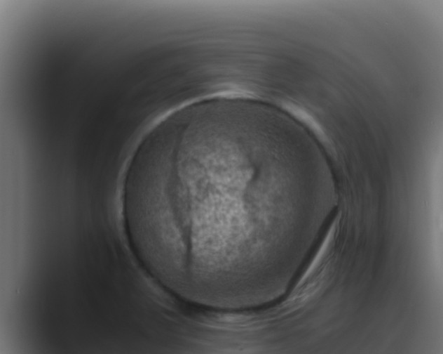 X0000089691375200706281408