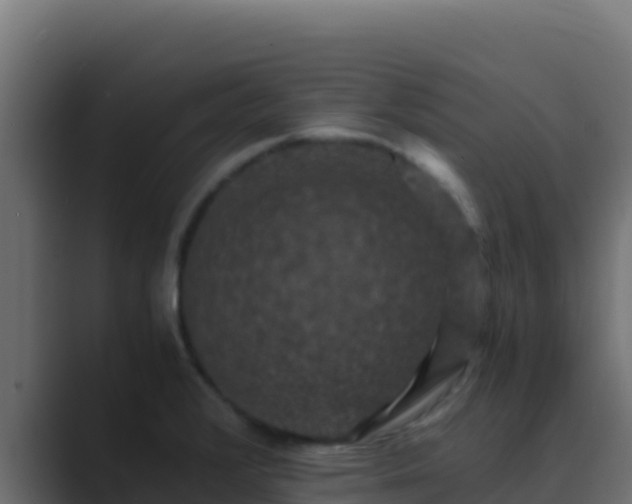 X0000089691376200706281408