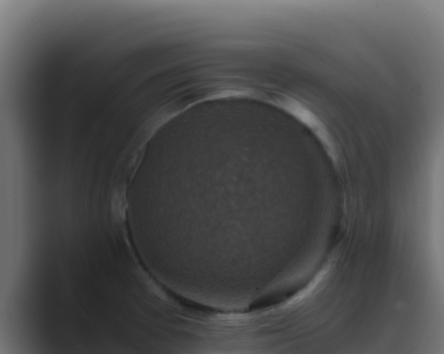 X0000089691377200706281408