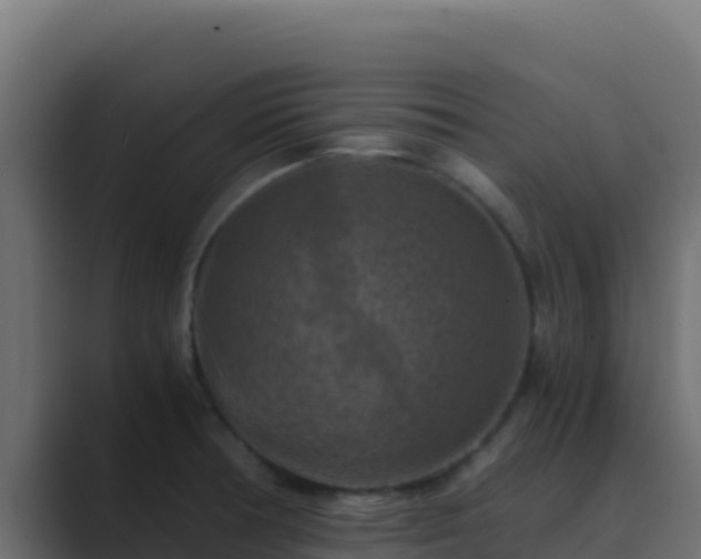 X0000089691378200706281408