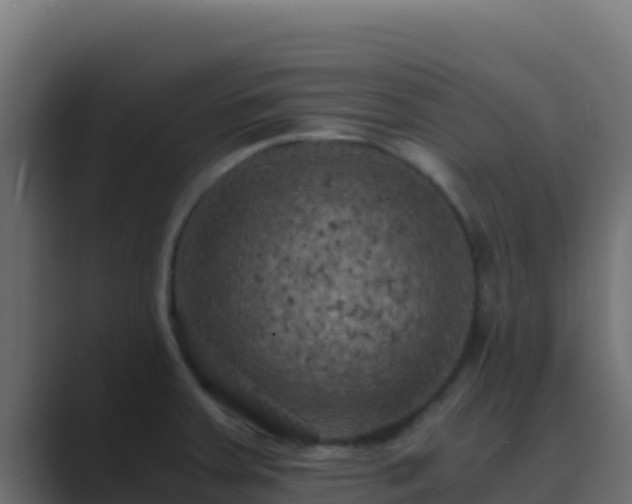 X0000089691379200706281408