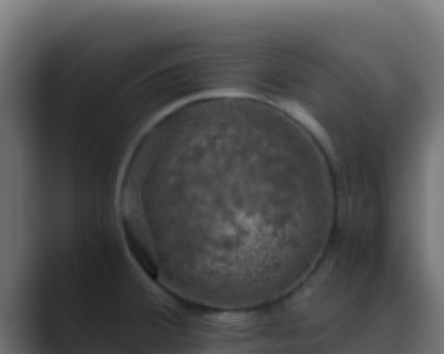 X0000089691380200706281408