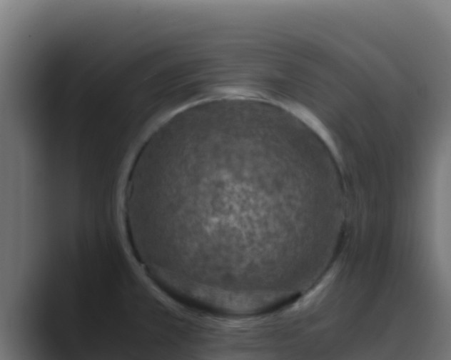 X0000089691381200706281408