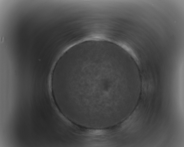 X0000089691382200706281408