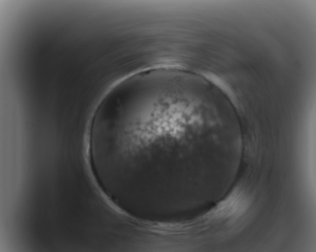 X0000089691383200706281408