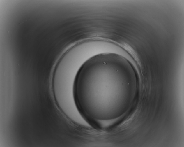 X0000089691384200706281408