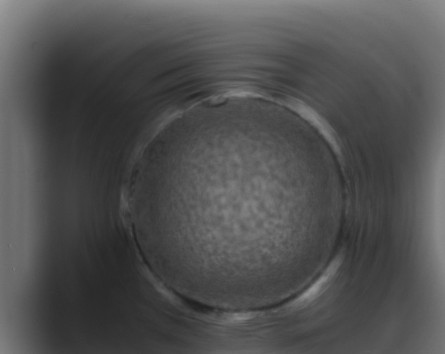 X0000089691385200706281408